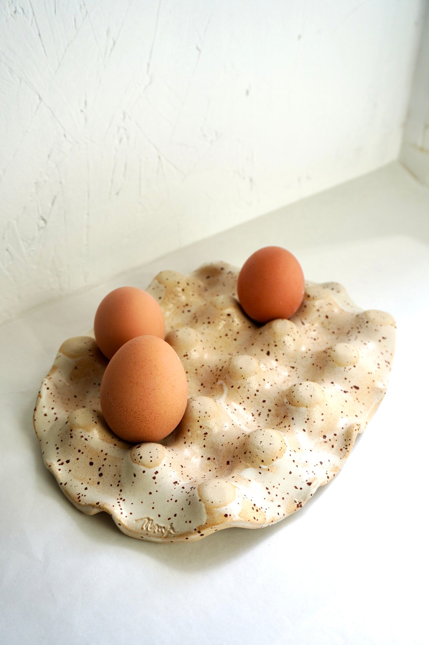 Porte-oeufs x 12