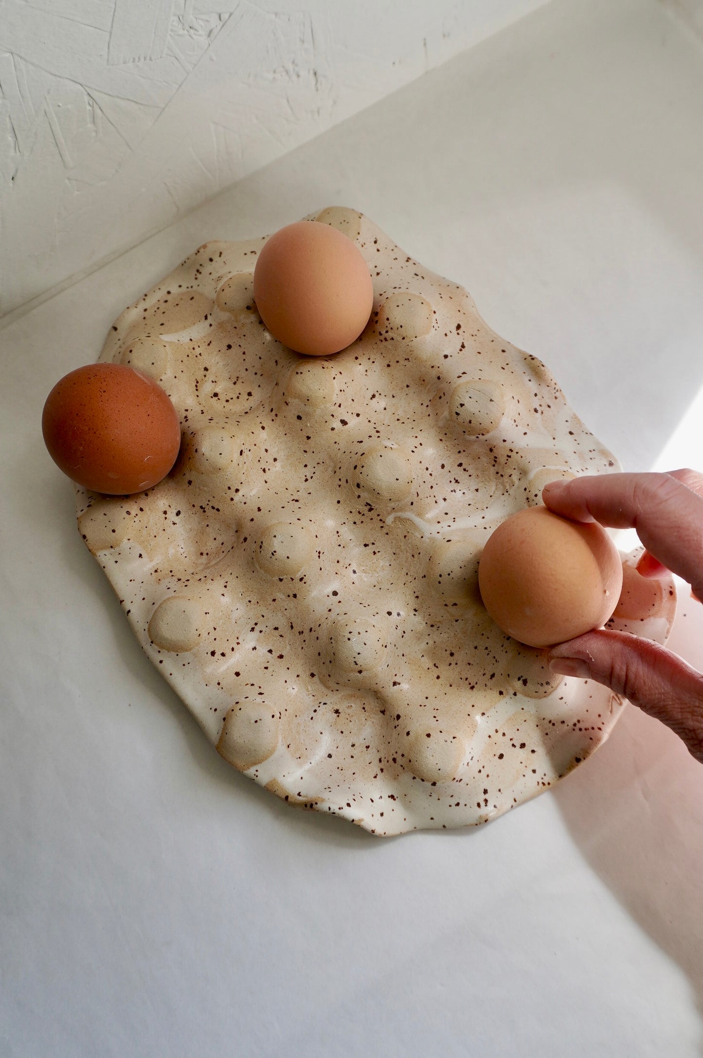 Porte-oeufs x 12
